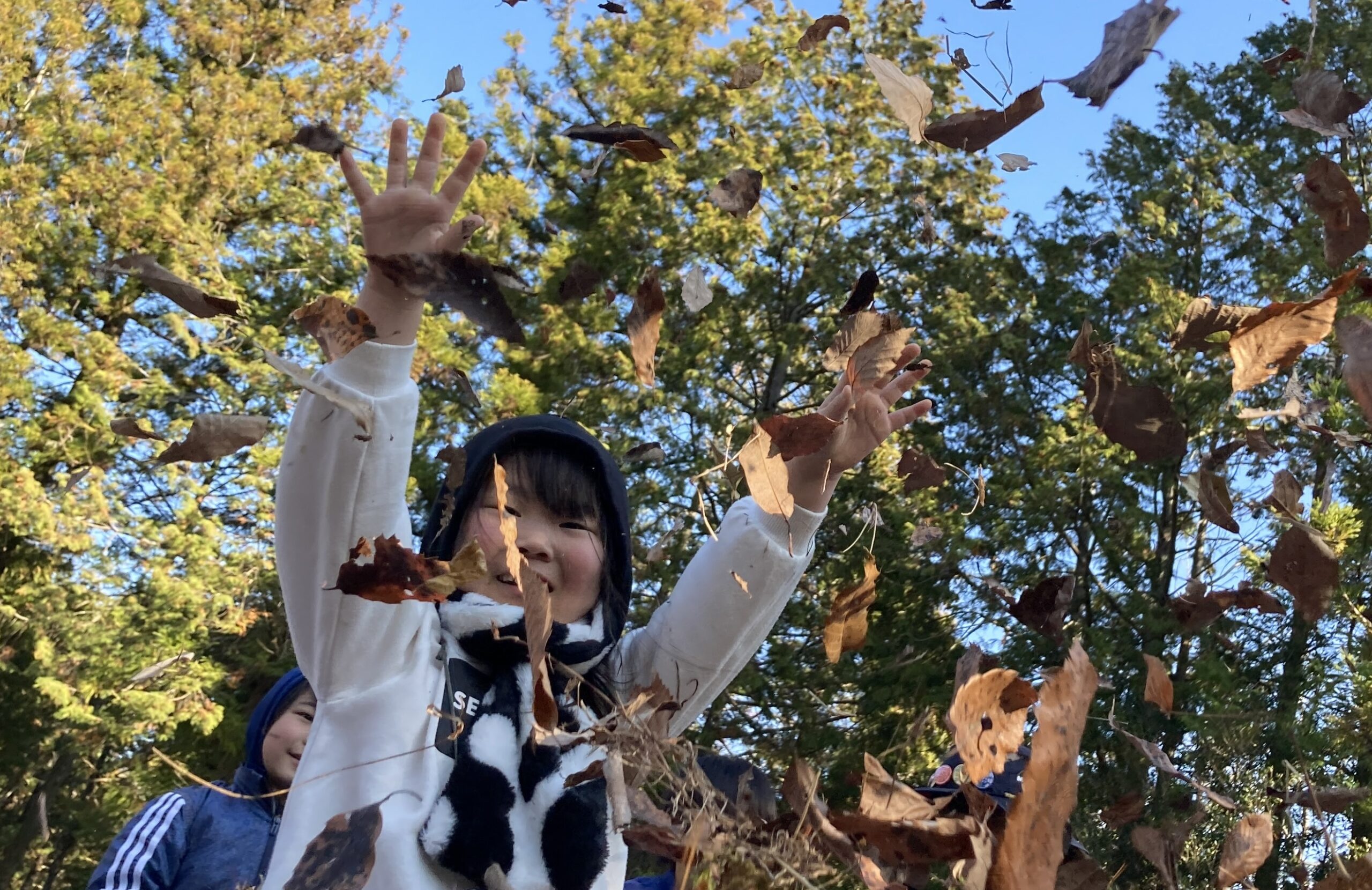 【日帰り～2泊3日】 週末森のお泊り学童 2025年2月22日(土)〜2月24日(月・祝)