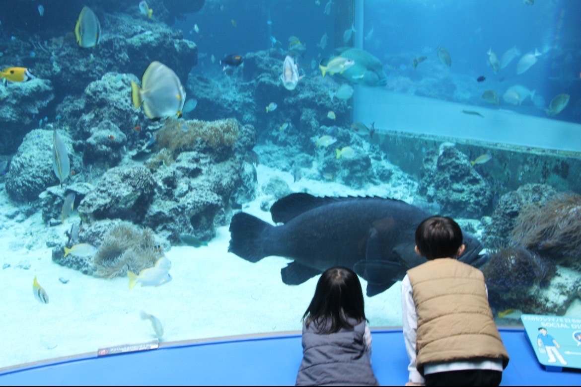 【日帰り】ひとやすみin姫路 水族館へ行こう！⚫︎2025年2月27日（木）