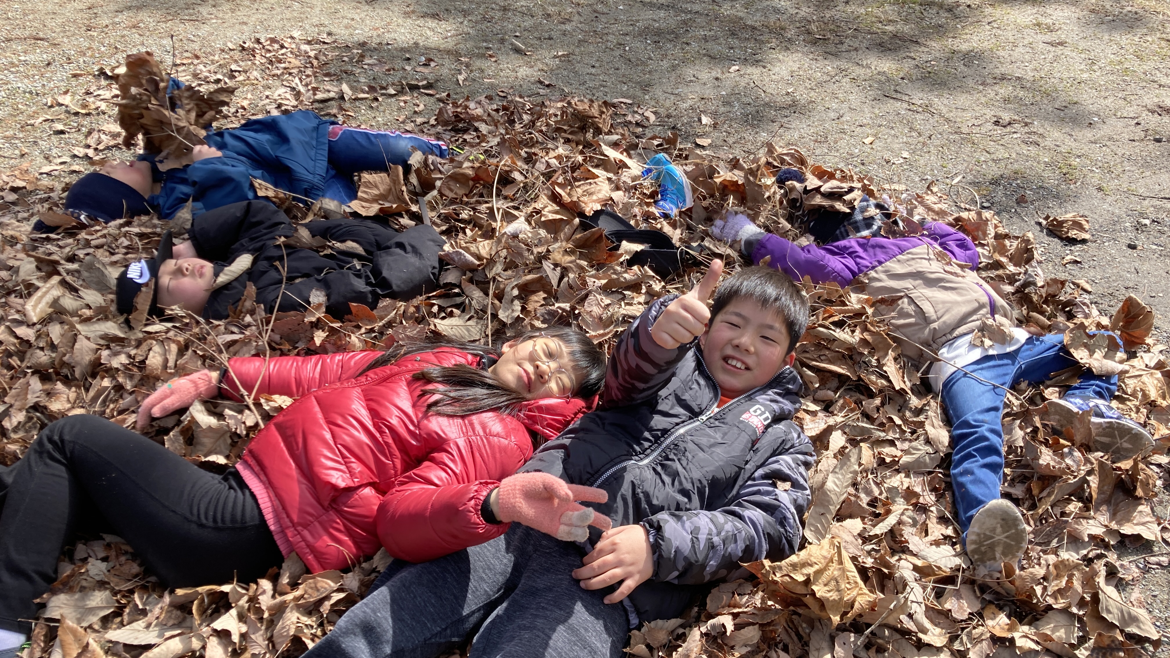 【日帰り～3泊4日】 森のお泊り学童inTEMIL ①2025年12月20日(土)～21日(日)②2026年1月4日(日)～7日(水)③2026年2月21日(土)～23日(月・祝)