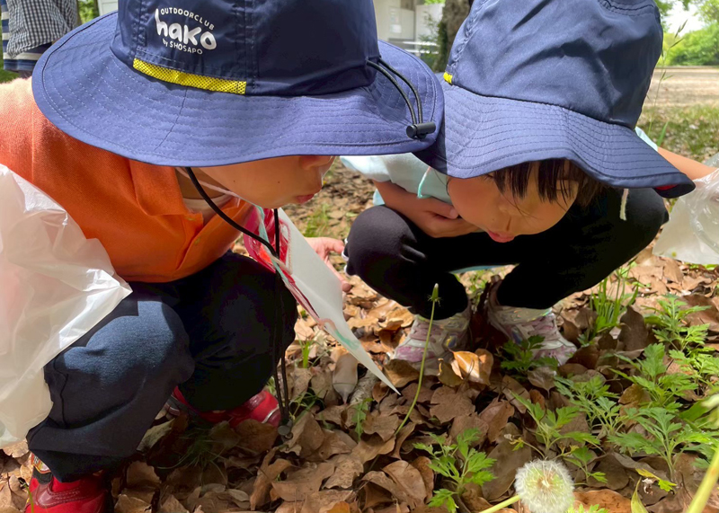 【日帰り】アウトドアクラブhako体験会(4~6歳)ピクニックのひ ①2026年5月30日(土）②5月31日(日)